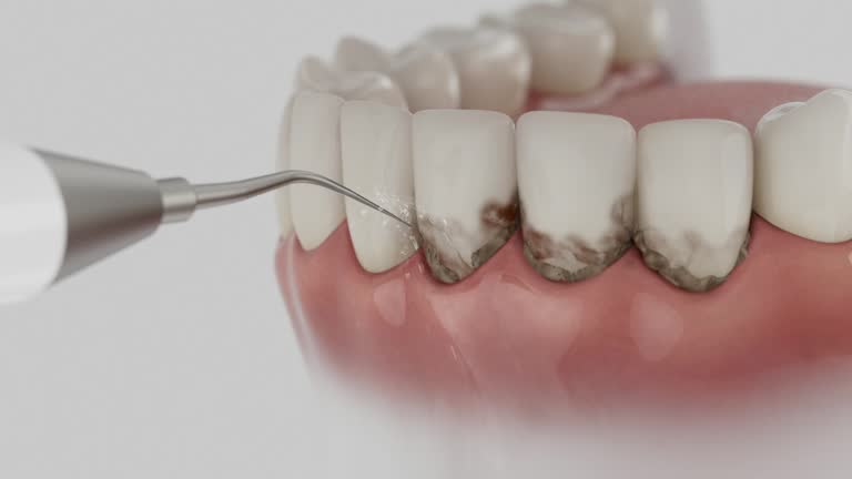Reliable Dental contractor in South Sarasota, FL by Dentist Open Now